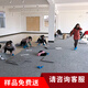 J Carpet地毯辦公室地毯方塊拼接滿(mǎn)鋪房間客廳家用商用公司pvc大面積 901淺灰色 4片裝  50*50cm/片