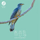 布谷鳥音樂人概念合輯《布谷鳥》CD