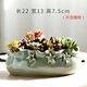仟尚億多肉大口徑拼盤(pán)花盆陶瓷批發(fā)創(chuàng  )意室內肉肉拼盆創(chuàng  )意大多肉植物花盆 拼盤(pán)-三朵花（帶孔） 圖上有尺寸