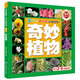 寶寶的第一本認知百科 童眼識天下 奇妙植物