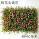 嘆為觀(guān)止 塑料草坪人造草皮帶花室內植物墻客廳櫥窗陽(yáng)臺裝飾仿真草坪 帶花金錢(qián)草
