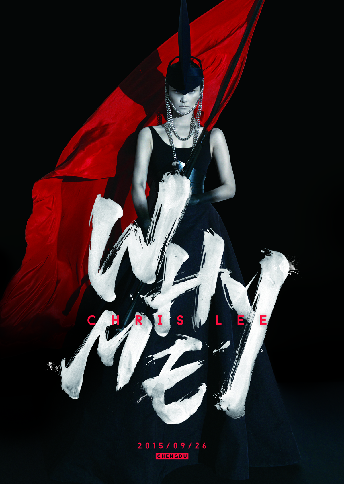 李宇春WhyMe ChrisLee十周年演唱會珍藏大禮包  whyme（京東專賣）（DVD）