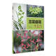 蘭花促花有竅門(mén)