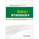 燃煤電廠煙氣超低排放技術(shù)