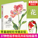 花-萬物我畫 37種彩鉛圖繪花卉 彩色鉛筆畫素描教程色鉛筆基礎(chǔ)實(shí)用教程 彩鉛畫入門 花之繪 正版書籍