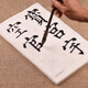 臻言 顏體大楷毛筆字帖 初學(xué)者入門臨摹 顏真卿大楷多寶塔描紅本 成人大字練習(xí) 顏體大楷描紅紙103張