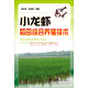 小龍蝦稻田綜合養(yǎng)殖技術(shù)