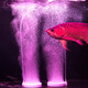老漁匠 魚(yú)缸氧氣細化納米氣盤(pán)石 增氧氣泡盤(pán)氧氣頭氣石氣泡盤(pán)水族箱氣餅 爐煙氣盤(pán)S-150（不配氣管）