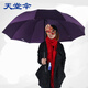 天堂傘雨傘三折10骨加大2-3人可用超大加固男女晴雨傘33212E碰 紫色