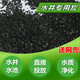 椰殼凈水活性炭散裝水井活性炭自來(lái)水地下水井飲用水池凈化活性碳 5斤小粒椰殼+5個(gè)網(wǎng)兜