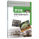 羅非魚規(guī)?；】叼B(yǎng)殖技術(shù)
