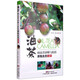 油茶病蟲害診斷與防治原色生態(tài)圖譜