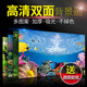 金利佳（Jeneca） 魚缸專用背景紙水族箱高清背景畫魚缸背景圖 龜缸大魚缸貼紙壁紙 高80長152(厘米)