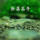 聽(tīng)白閣觀(guān)賞蝦活水族寵物蝦清潔蝦草缸除藻蝦工具蝦淡水蝦觀(guān)賞蝦運輸包損 大河藻蝦1只(2-3cm左右)