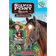學樂橋梁書大樹系列之銀馬牧場系列1：發(fā)光的寶石 Sparkling Jewel: A Branches Book (Silver Pony Ranch #1) 進口原版 英文  小學教輔
