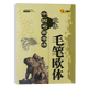 中國名家書(shū)法 毛筆標準字帖 書(shū)法教學(xué) 歐體 成人學(xué)生入門(mén)練字毛筆字貼