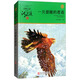 一只獵雕的遭遇 動(dòng)物小說(shuō)大王沈石溪品藏書系新版 小學(xué)生三四五六年級(jí)課外兒童文學(xué)書