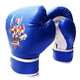 華亞 拳擊手套 散打格斗武術(shù)搏擊訓練沙包拳套 兒童手套藍色7-12歲均碼
