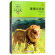 雄獅去流浪 動物小說大王沈石溪品藏書系新版 兒童文學(xué)課外讀物