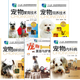 5本 寵物飼養(yǎng)技術(shù)+寵物繁育技術(shù)+寵物疫病與防治技術(shù)+寵物美容與護(hù)理 第二版+寵物內(nèi)科病 養(yǎng)護(hù)全程指導(dǎo)寵物狗喂養(yǎng)實(shí)用手冊