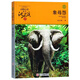象母怨 升級版 動(dòng)物小說(shuō)大王沈石溪品藏書(shū)系 小學(xué)生三四五六年級課外兒童文學(xué)書(shū)