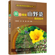 圖說棚室山野菜栽培技術(shù)