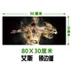 新盟筆記本電腦辦公超大號鍵盤鼠標墊大桌面墊防水墊子絕地求生CF守望先鋒游戲桌墊吃雞鍵盤墊網(wǎng)吧網(wǎng)咖 艾斯80X30厘米鼠標墊 精密鎖邊