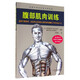 腹部肌肉訓(xùn)練