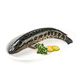 鮮活黑魚500-600g/條