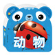 動(dòng)物/認知熊熊卡