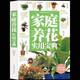 正版 家庭養(yǎng)花實(shí)用寶典 植物圖鑒 植物書籍大全 養(yǎng)花書籍種花大全 花卉養(yǎng)殖書籍 花卉書籍圖書大全