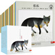 小小自然圖書館（套裝全40冊 ） 大V推薦，意大利經(jīng)典童書，暢銷一千萬冊(中國環(huán)境標(biāo)志產(chǎn)品 綠色印刷)