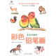 藝澤美術(shù)系列：彩色鉛筆畫(huà) 萌寵動(dòng)物繪