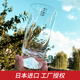 日本進(jìn)口富士山杯 江戶(hù)硝子家用創(chuàng  )意玻璃杯喝水啤酒杯果汁飲料杯雪頂手工杯子情人節日男女友送禮杯 高杯 櫻花款