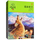 混血豺王 動物小說大王沈石溪品藏書系新版 小學(xué)生三四五六年級課外兒童文學(xué)書 課外閱讀 閱讀 課外書暑假作業(yè) 一升二暑假銜接 小升初暑假銜接