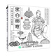 黑白畫(huà)意 中國(guó)元素手繪教程（繪客出品）