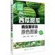 現(xiàn)代蔬菜病蟲害防治叢書--西瓜甜瓜病蟲害診治原色圖鑒（第二版）