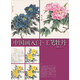中國畫(huà)入門(mén) 工筆牡丹