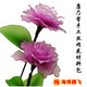 博金來(lái) 康乃馨材料包 手工絲網(wǎng)花康乃馨 絲襪花絲網(wǎng)花材料 康乃馨手工制作DIY手工康乃馨花材料包  可做25朵左右康乃馨材料包+工具包