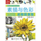 世界繪畫經(jīng)典教程：素描與色彩的極致表現(xiàn)（修訂版）（繪客出品）