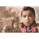 雞毛信（紅色經(jīng)典電影連環(huán)畫：少年英雄系列）