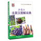 外教社法英漢圖解詞典/“一帶一路”社會(huì)文化多語(yǔ)圖解系列詞典