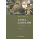 視唱練耳系列叢書(shū)·音樂(lè)作品綜合聽(tīng)覺(jué)訓(xùn)練：17-19世紀(jì)（西方音樂(lè)卷 上）