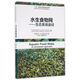 水生食物網(wǎng)：生態(tài)系統途徑