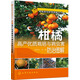 果樹栽培修剪圖解叢書：柑橘高產(chǎn)優(yōu)質(zhì)栽培與病蟲害防治圖解（久經(jīng)市場考驗深受讀者歡迎的柑橘栽培及病害防治技術(shù)，彩圖豐富）