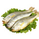 品鮮貓新鮮冷凍小黃花魚(yú)500g3-4條袋裝海鮮水產(chǎn)黃魚(yú)深海魚(yú)魚(yú)類(lèi)生
