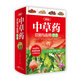 精編中草藥識(shí)別與應(yīng)用圖譜