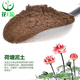 花e流 荷塘泥營(yíng)養土碗蓮睡蓮荷花水生綠植花卉專(zhuān)用土河塘泥荷花塘淤 荷塘泥500克