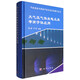 氣體放電與等離子體及其應(yīng)用著作叢書：大氣壓氣體放電及其等離子體應(yīng)用