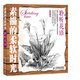 素描的柔軟時光：聆聽花語（繪客出品）